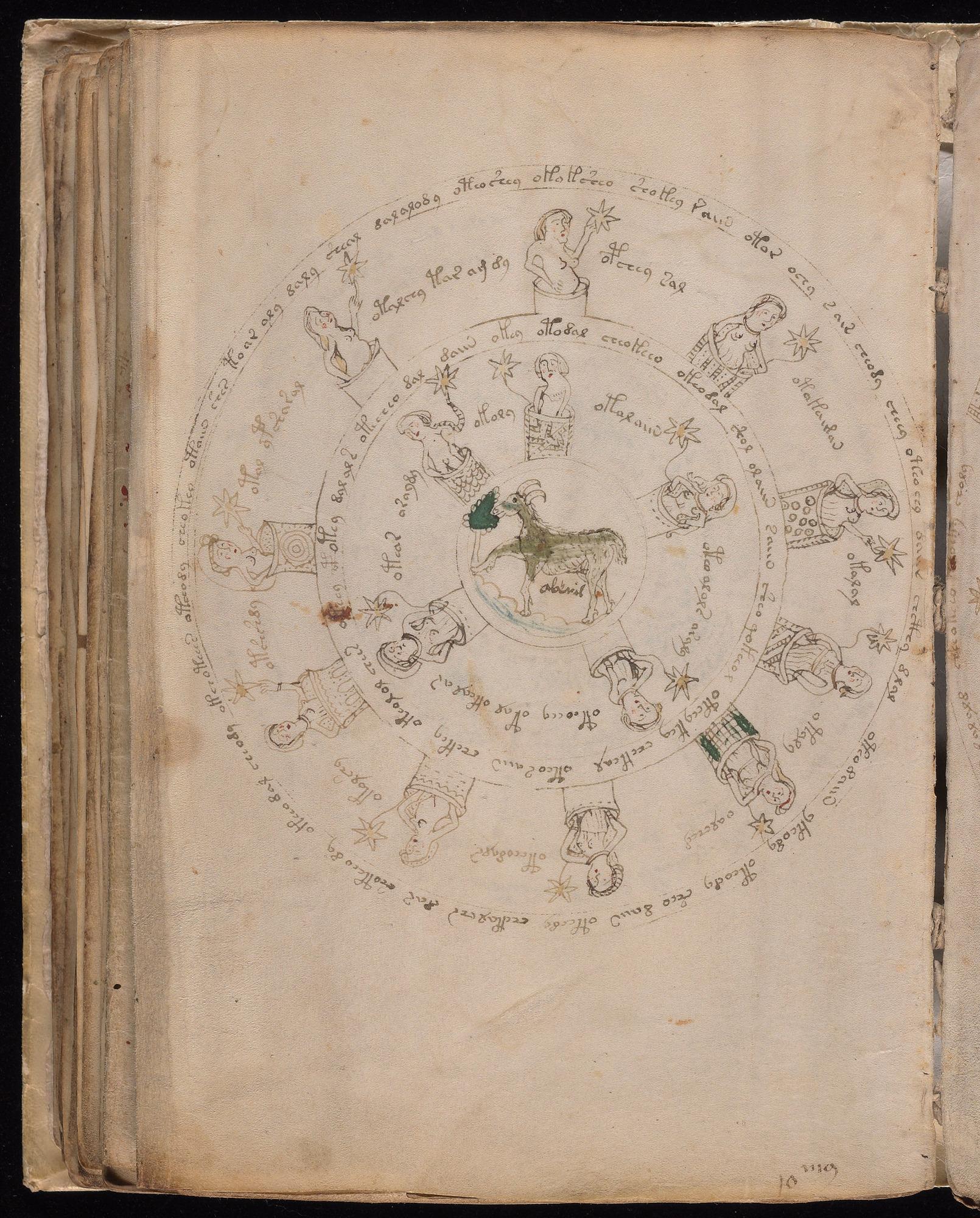Voynich Manuscript folio f70v (part) — Beinecke MS 408